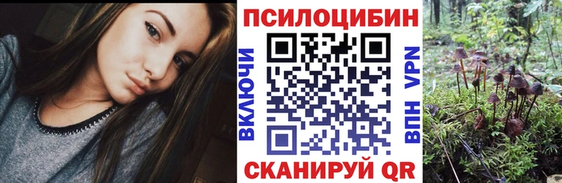 MEGA сайт  Зуевка  Галлюциногенные грибы мицелий  магазин продажи наркотиков 